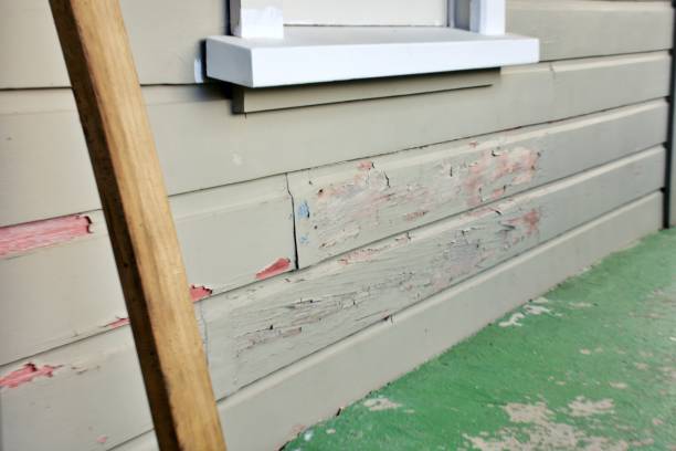 Professional Siding Installation & Repair in Lake Of The Woods, AZ